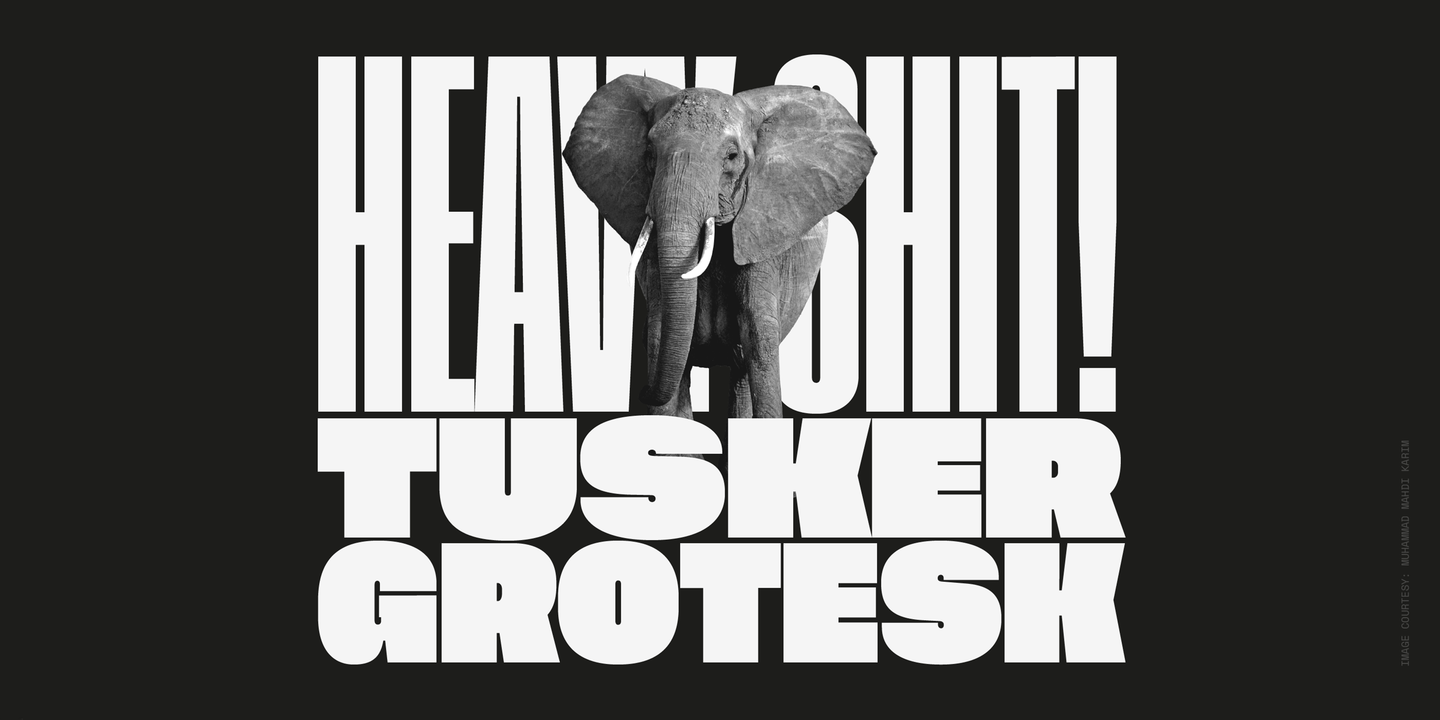 Tusker Grotesk